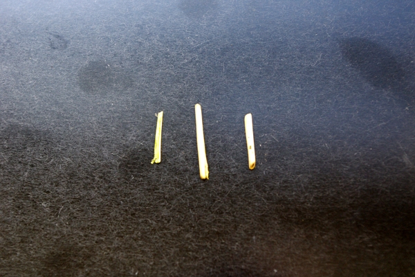 3145.jpg