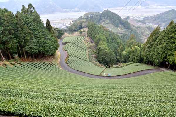 9高山石神.jpg
