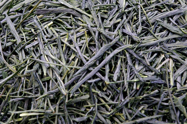 茶葉.JPG