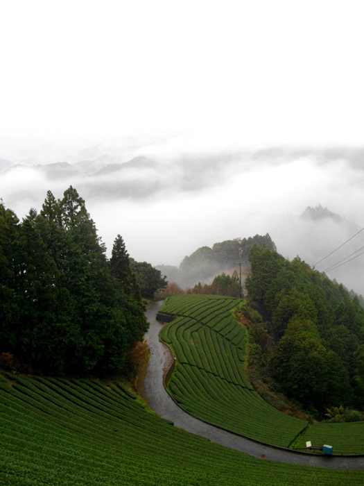高山2712.jpg