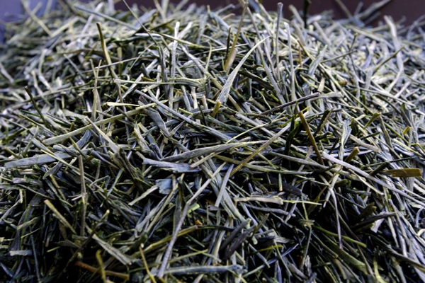 荒茶.jpg