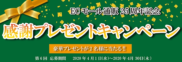 ECモールプレゼントキャンペーン
