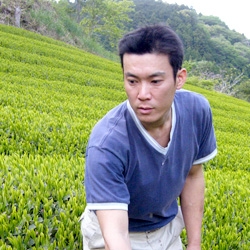 静岡茶の生産家 山本 賢吾